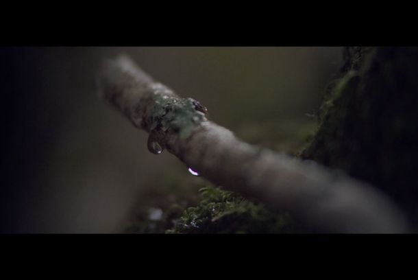 still / picture for Discovery of Fire