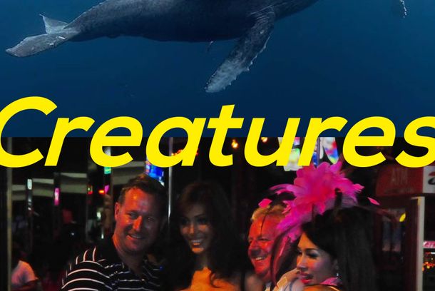 still / picture for Creatures