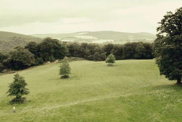 still / picture for The Swing