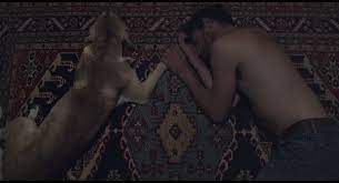still / picture for Love Dog