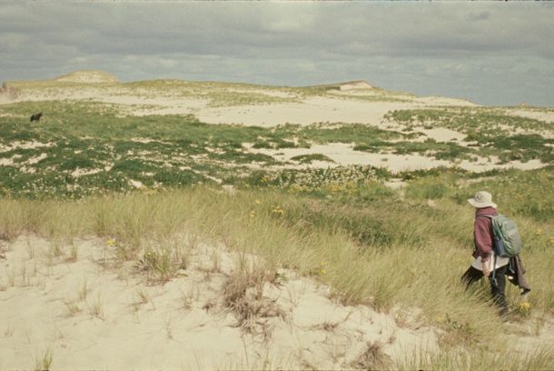 still / picture for Geographies of solitude