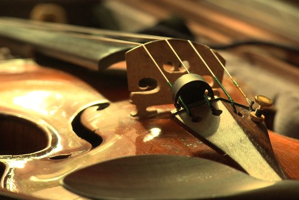 still / picture for Violinissimo