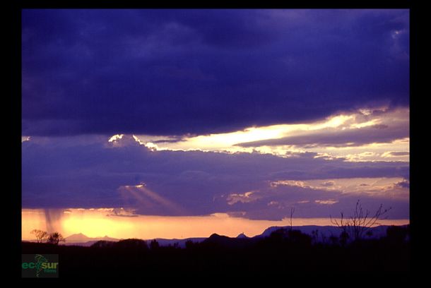still / picture for 