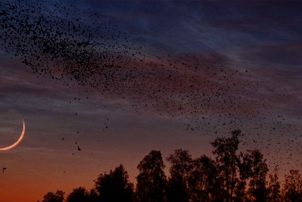 still / picture for The Prologue