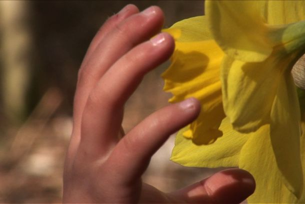 still / picture for Into the Middle of Nowhere