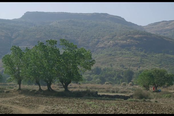 still / picture for Bahava