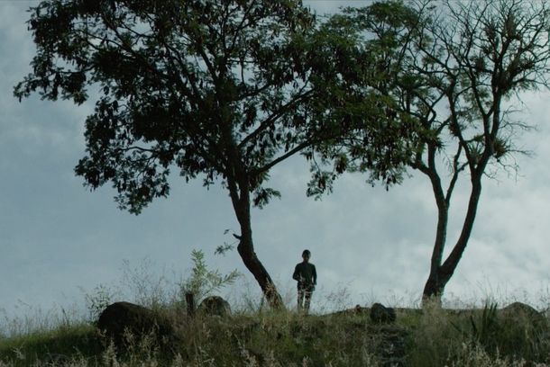 still / picture for Libélula