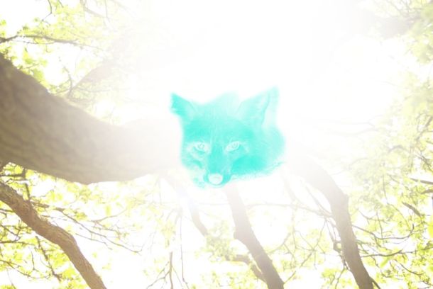 still / picture for We Burn Daylight 