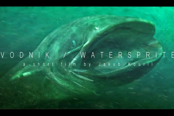 still / picture for Watersprite