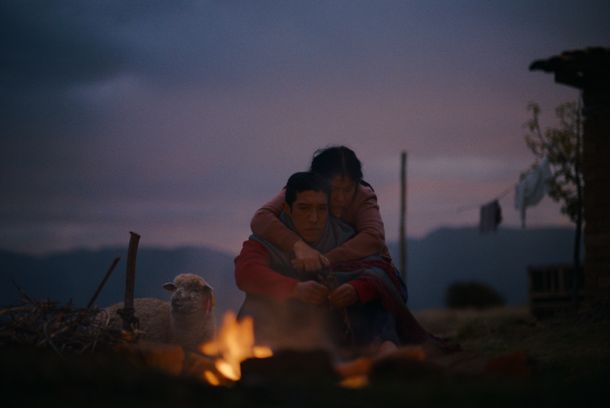 still / picture for Ovejas y lobos