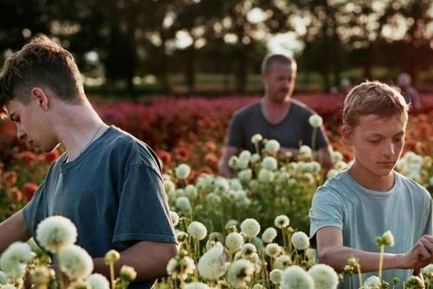 still / picture for Close