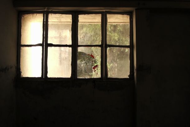 still / picture for Placebo