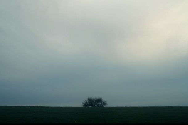 still / picture for Ekpyrosis