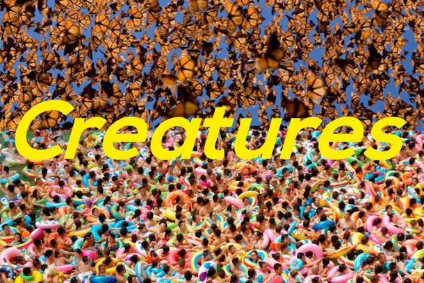 still / picture for Creatures