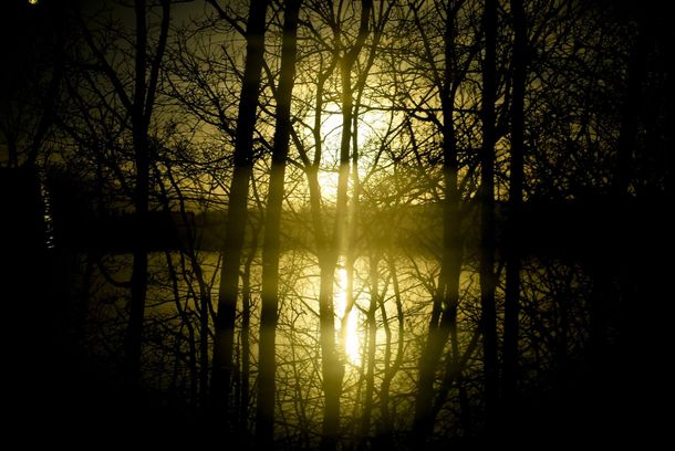 still / picture for Rusalka