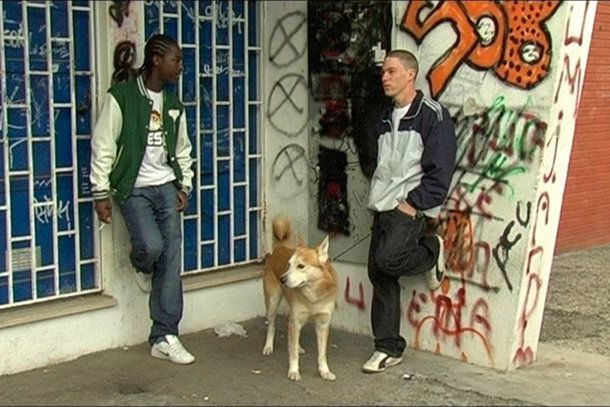 still / picture for JOÃO E O CÃO