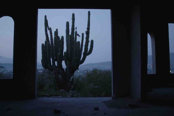 still / picture for Nacht der Kojoten