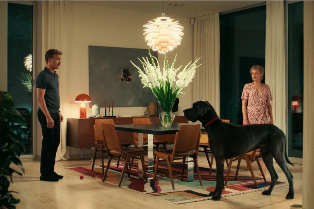 Peacock, Courtesy of NGF Geyrhalterfilm, Cala Film, Albin Wildner